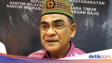 A year after Prabowo’s government, PDIP highlighted IKN