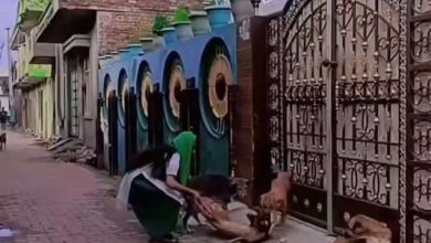 Today’s funniest video! Considering Dogesh as her friend, Didi danced powerfully, you will burst out laughing after watching the video.