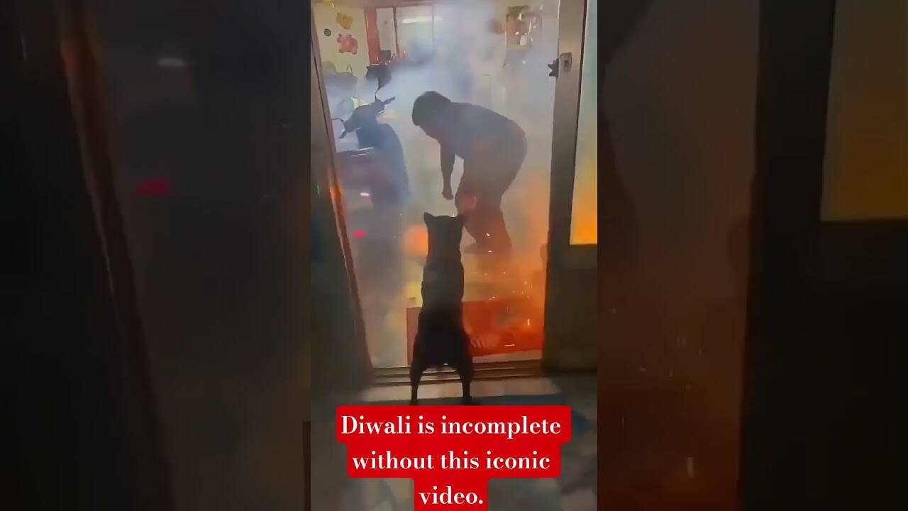 Dogesh Bhai created terror on Diwai! The whole house went up in smoke by popping a sparkler in the mouth, you won’t stop laughing after watching the viral video