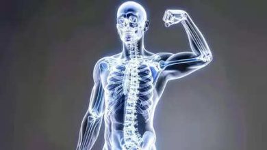 World Osteoporosis Day- 2025: Are bones getting progressively weaker? Ayurvedic remedies will give strength