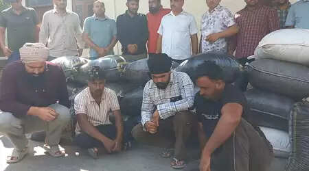 Haryana: 305 kg doda poppy found in two luxury cars, four arrested