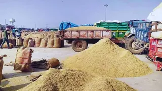 Important news for farmers coming to Rewari Mandi there will be no grain purchase for these two days – rewari mandi no grain purchase on 18 may 19 important notice for farmers