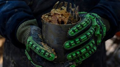 Juan Spinito: Brazil could overtake China in race for rare earths