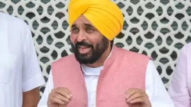 Punjab CM and other AAP leaders wished Diwali, wished a happy life.