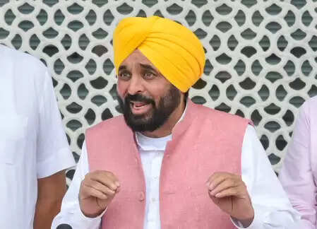 Punjab CM and other AAP leaders wished Diwali, wished a happy life.