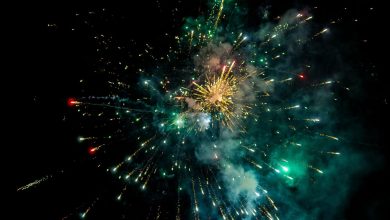 Burning coconuts this Diwali in Delhi-NCR? Check permit timings for green coconuts to avoid bitter festival memories