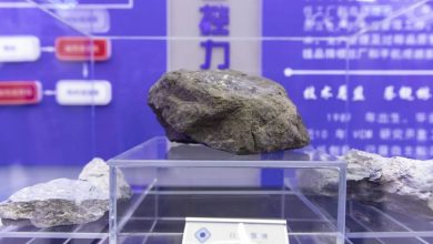 Australia offers Trump compensation for Chinese rare earth exports