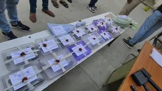 Bishnoi gang member arrested in Narnaul, large quantity of arms including foreign pistol seized – Bishnoi gang member arrested in narnaul with foreign pistol