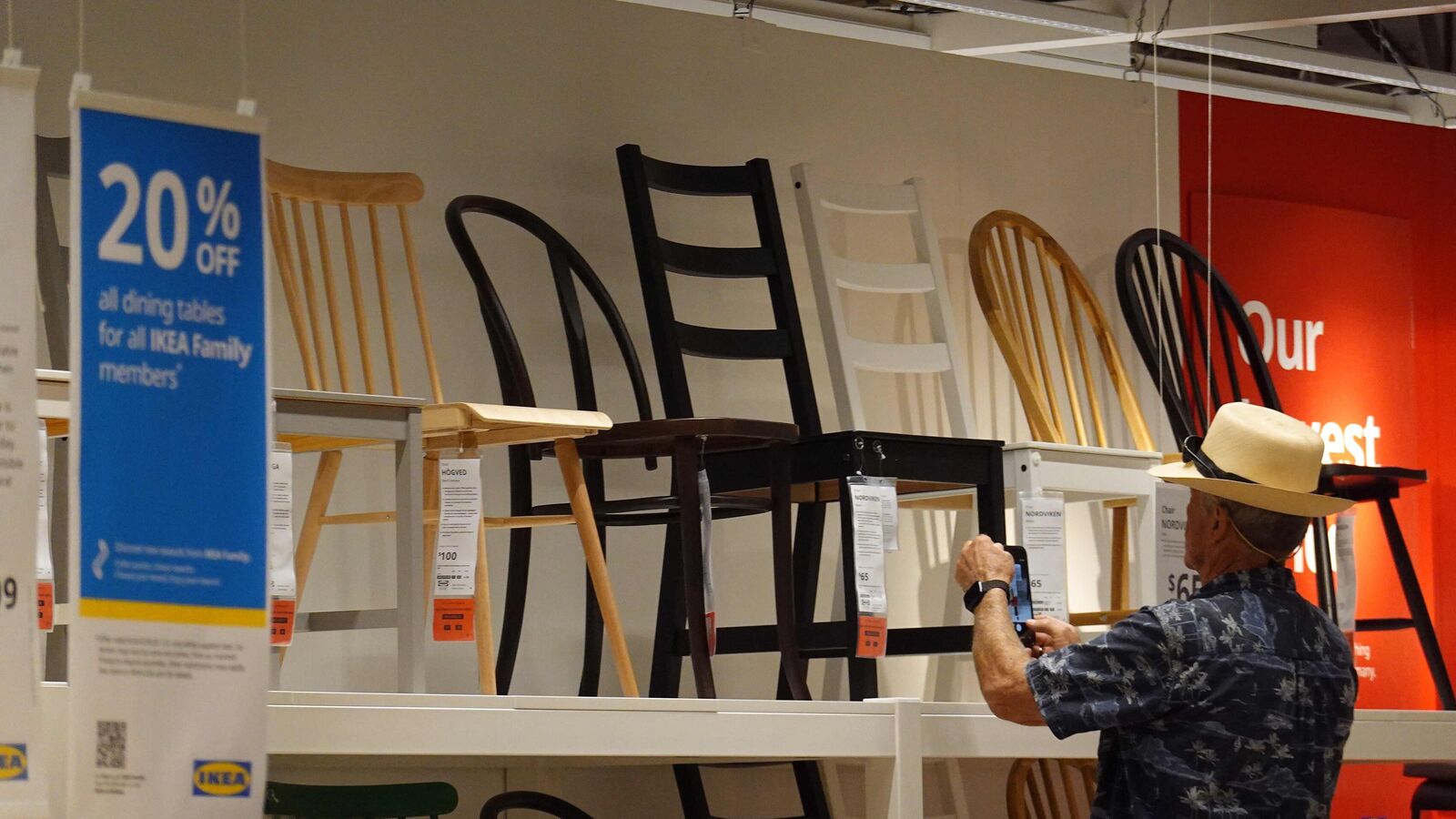 IKEA owner Ingka Group to buy €720 million forest land in Europe to boost ‘sustainable raw materials’ for furniture