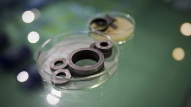 A decrease in China’s exports of rare earth magnets to America ahead of the Trump-Xi meeting