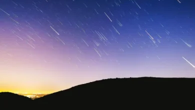 عرض سماوي فريد.. شهب الجباريات تضيء سماء السعودية
