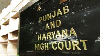 76 Punjab-Haryana High Court lawyers get Diwali gift appointed as senior advocates – 76 Punjab-Haryana High Court lawyers get Diwali gift appointed as senior advocates