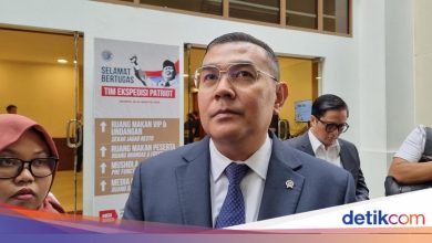 Deputy Minister of ATR: 140 mafias prosecuted – 123 million land registered by 2025
