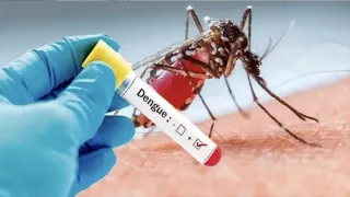 Danger of dengue fever increases in Kannauj, 70 villages affected, blood of infected patient will be tested in laboratory – dengue outbreak in kannauj 70 villages affected