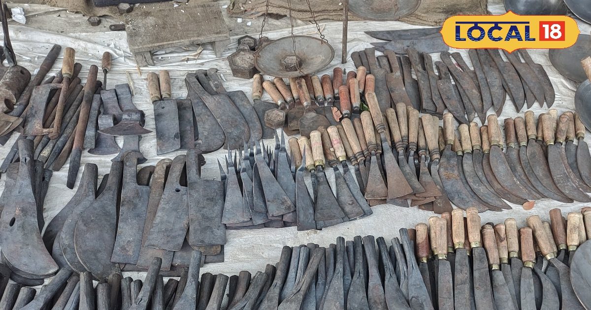 Government subsidy on 91 agricultural implements including trowel, hoe, sickle, application online until October 31
