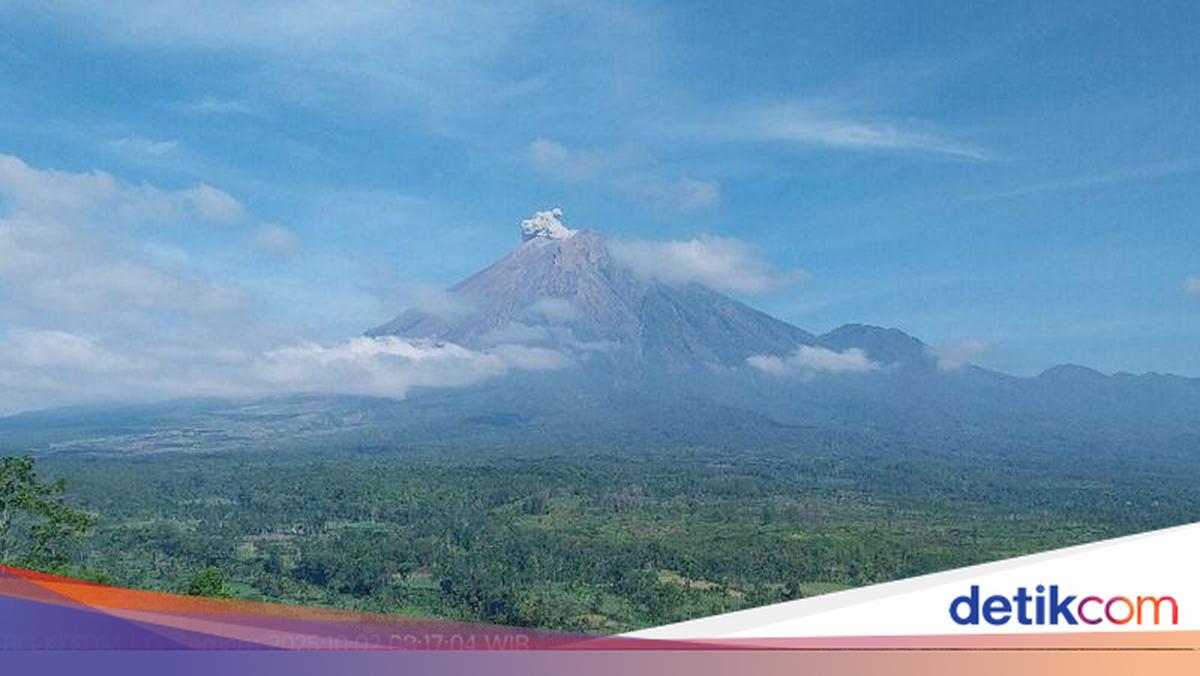 Mount Semeru erupted 6 times this morning, the height of the eruption column reached 700 meters