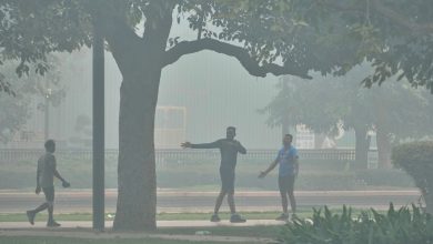 Delhi-NCR chokes after Diwali: Dwarka, Mundka among top 10 places with worst AQI, breathe polluted air in capital