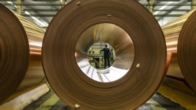 A concerted rise in base metal prices in anticipation of the Trump-Xi meeting