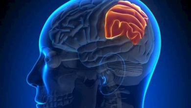 علامات يومية شائعة قد تشير إلى سرطان الدماغ