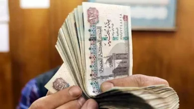 استطلاع رأي.. توقعات بخفض سعر الفائدة 6% خلال 8 أشهر وسط تباطؤ التضخم