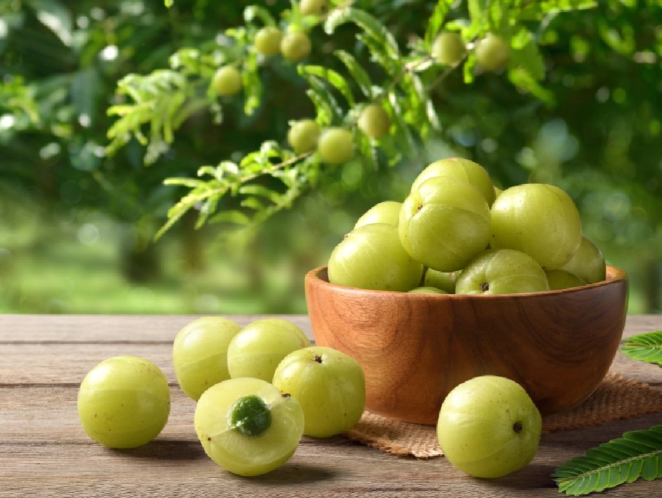 Amla provides relief from many problems!