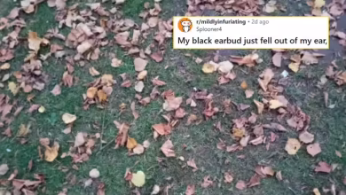 One earbud fell out of the ear and fell into the grass, when the person posted the picture on the Internet, even the eagle eye could not find it.