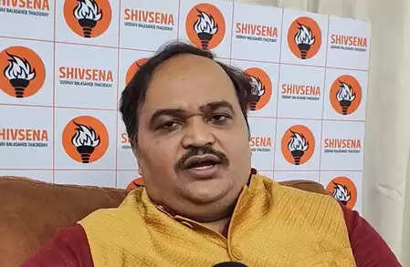 Conflict in NDA, unity in grand alliance: Anand Dubey