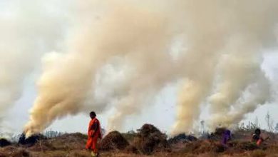 Punjab: Administration in Gurdaspur appealed to farmers not to burn stubble.