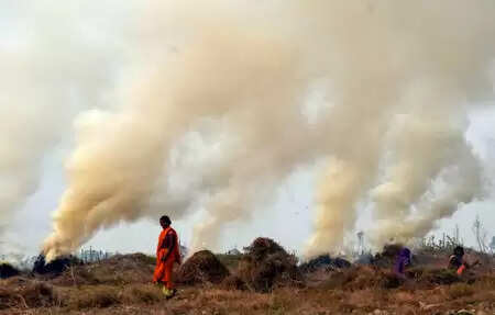 Punjab: Administration in Gurdaspur appealed to farmers not to burn stubble.