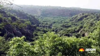 India ranks 9th globally in forest area, FAO releases report – India ranks 9th globally in forest area fao report 2025