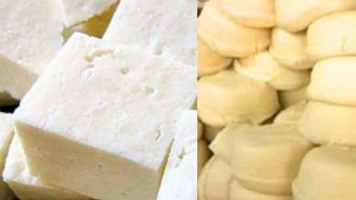 Ahead of festivals, action against adulterers in Noida, 100 KG Paneer and 450 KG Khoya destroyed