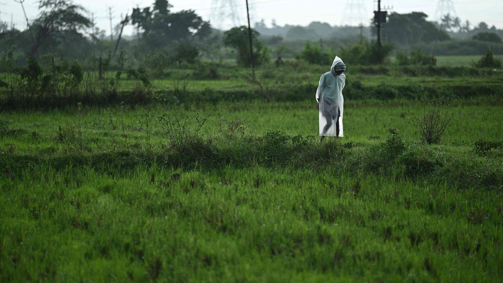 Live Weather Updates: Depression over Arabian Sea; MD predicts heavy rainfall in Tamil Nadu, Andhra, Karnataka