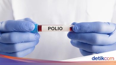 24 October 2025 World Polio Day, objectives and how to celebrate