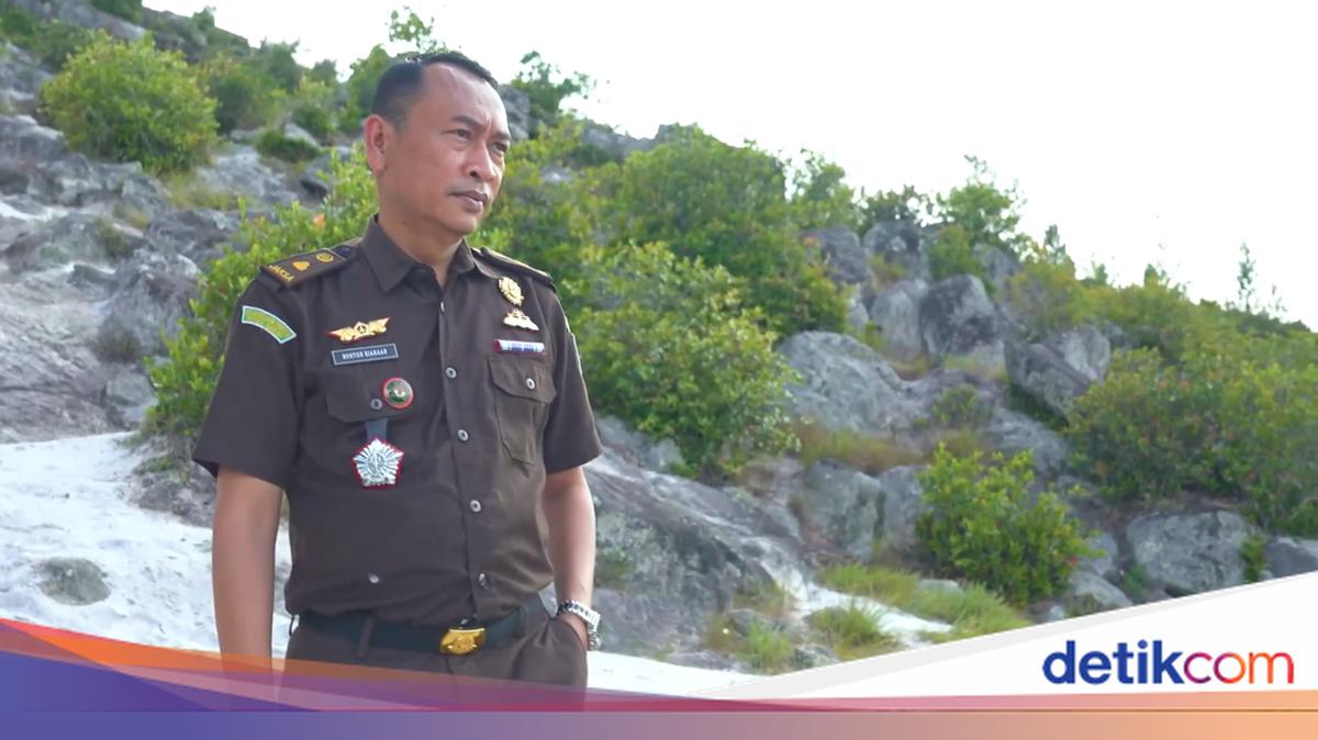 The story of a Boston prosecutor who maintains the trust of law enforcement in mountainous Papua