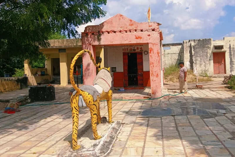 Maa Chamunda Temple situated on the banks of Banas on Rajyawas-Mohi road, a great center of security and faith.