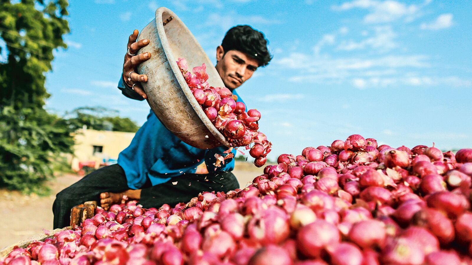 Cheaper thali = Farm emergency? The government is trying to prevent this.
