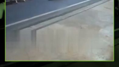 توفي بحادث سير والسبب بقرة! الحزن يخيم على كرة القدم البرازيلية بعد فقدان أحد نجومها الصاعدة….