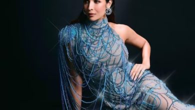 These are the famous item songs of Malaika Arora!