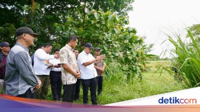 People’s School in Sukoharjo ready to be built, completed in July 2026