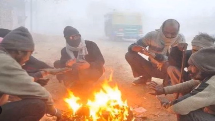 Rajasthan Weather Update:ठंड से कांपा राजस्थान, कई जिलों में कोहरा छाया, मौसम विभाग ने जारी किया ऑरेंज अलर्ट - Rajasthan Weather Update: State Shivers Under Severe Cold, Dense Fog In Many Districts;imd Issues Orange Alert