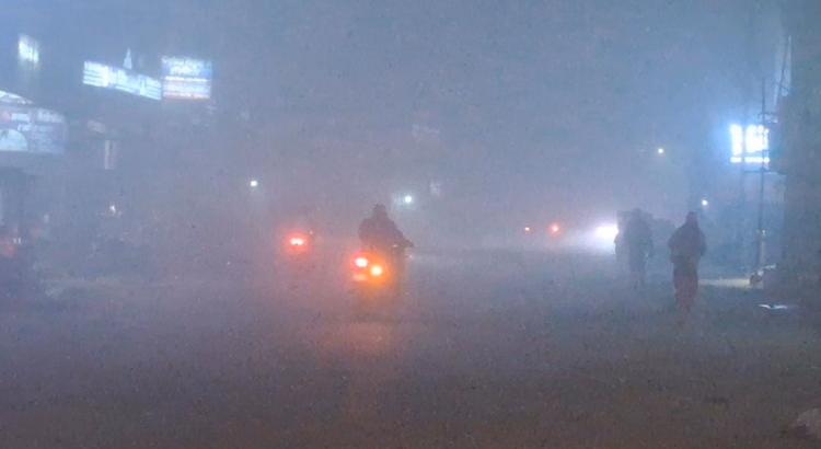 Muzaffarpur Bihar News : Dense Fog And Cold Wave Made People Trouble Tempreture Falling - Bihar News