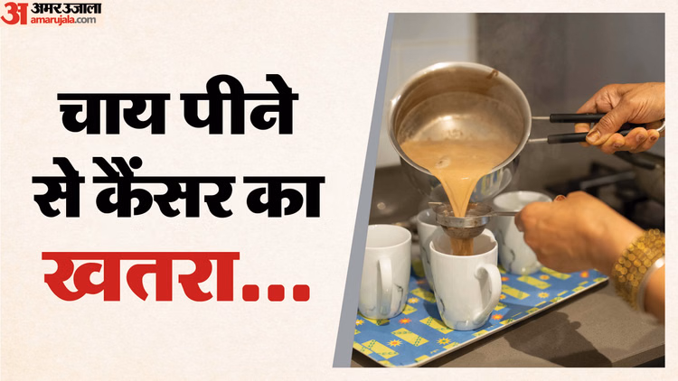 गर्म चाय जानलेवा है!:नई रिपोर्ट में डराने वाला खुलासा, पीने से नहीं एक फायदा; नुकसान इतना की कैंसर हो जाए - Report By Harvard Health And Mayo Clinic Claims Drinking More Than Four Cups Of Tea Increases Risk Cancer