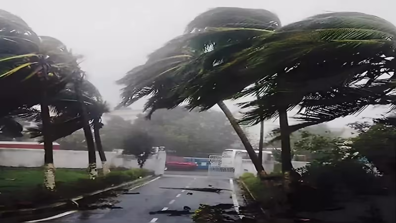 कल का मौसम 11 जनवरी: प्रचंड शीतलहर के बीच 3 राज्यों में बारिश का अलर्ट, 25 जिलों में बढ़ेगी ठंड; IMD का अपडेट - tomorrow weather 11 january 2026 rain alert in 3 states of india cold wave in 25 districts of north india dense fog in delhi bihar up temperature