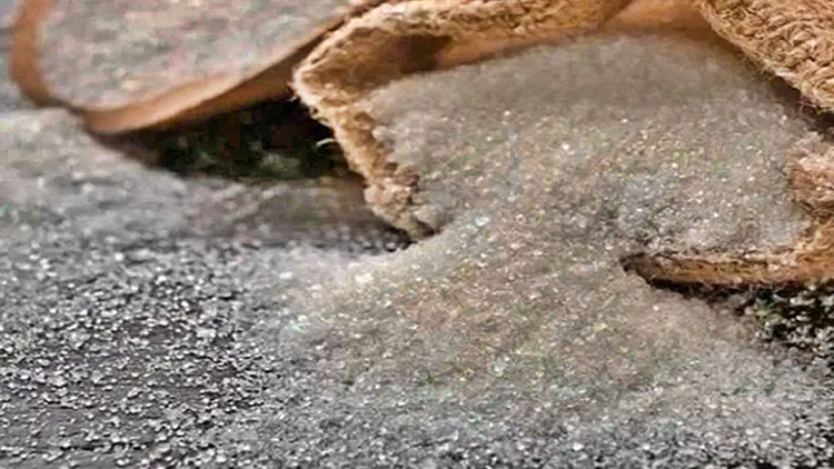 Himachal News:चीनी का मिलेगा एक माह का कोटा, पिछले कोटे के लिए अभी उपभोक्ताओं को करना होगा इंतजार - Himachal News Sugar Will Get One Month Quota, Consumers Will Have To Wait For The Previous Quota