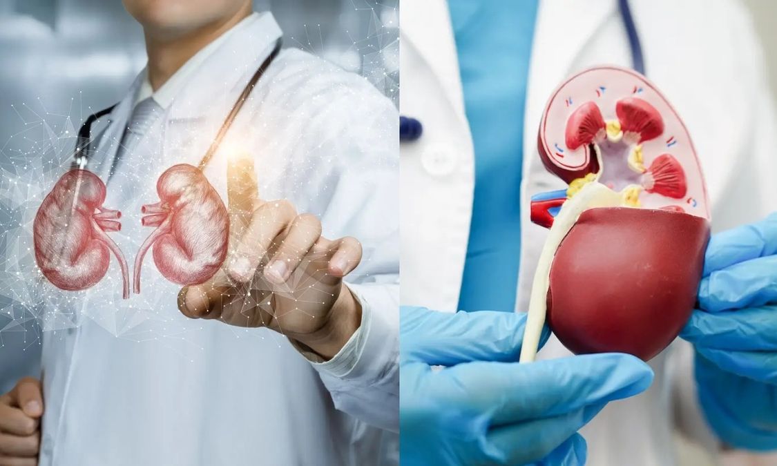 Jharkhand News: झारखंड के मरीजों को बड़ी राहत; राज्य में पहली बार किडनी ट्रांसप्लांट की सुविधा शुरू, इन दो अस्पताल में करा सकेंगे इलाज