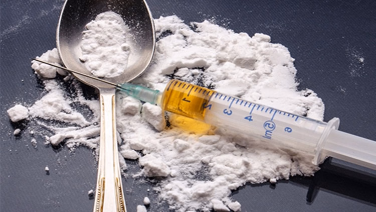 Shimla Rampur And Rohru Are The Most Habitual Chitta Smugglers - Himachal Pradesh News