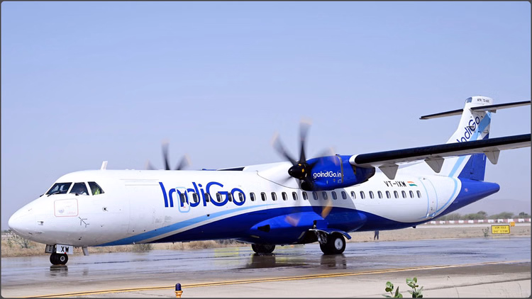 Bird-hit Indigo Plane Diverted To Varanasi Late Night 216 Passengers Safe - Uttar Pradesh News