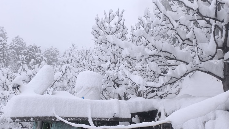 Himachal Weather:हिमाचल में करवट बदल सकता है माैसम, तीन दिन बारिश-बर्फबारी के आसार, शीतलहर जारी - Himachal Weather: Rain And Snowfall Forecast For Three Days, Cold Wave Continues