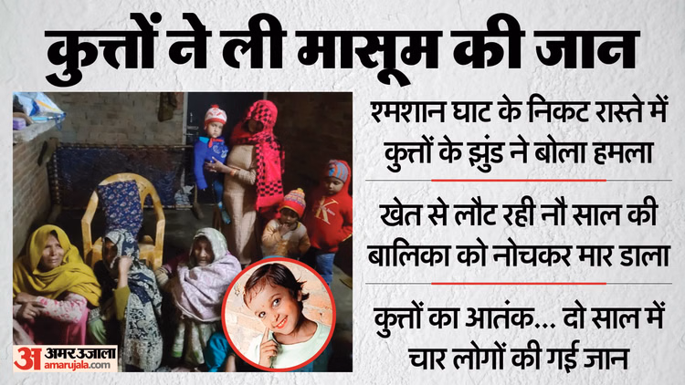 Up:चेहरा नोचा, बाईं बांह उखाड़ ले गए... जांघ से बाईं टांग भी अलग की; नौ साल की रिया की लाश देख कांप उठा कलेजा - Up News: Nine-year-old Girl Dies After Attack By Stray Dogs In Sambhal Village