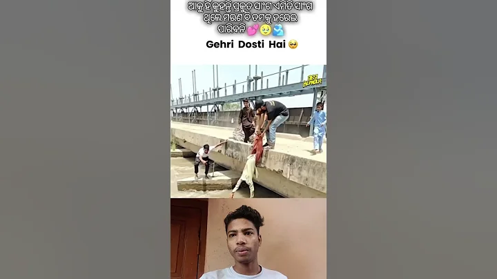 #filter #tedrush #reelschallenge sambalpuri status video #dance #sambalpurisong #odiasong#music#song